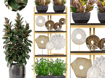 Rack with the decor of figurines and plants 3D model