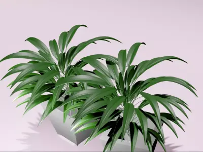 plant two plants in pot Free low-poly 3D model