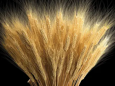 Decorative bouquet of ears of wheat in a wicker basket 285 3D model