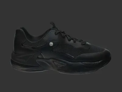 North Star Shoe Low-poly 3D model