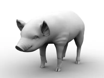 cute pig 3d model 3D model