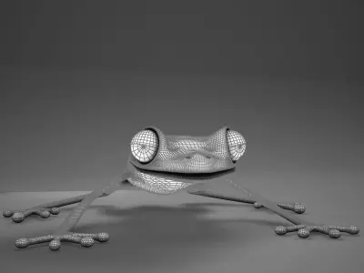 Poison Arrow Frog 3D model