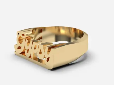 Custom Name Ring  3D print model