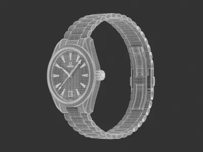 Omega Seamaster Aqua Terra Watch 3D model