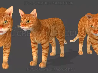 Animated Cat 3D model