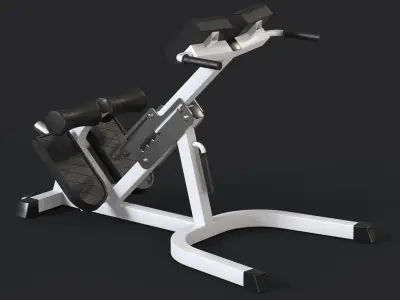 Hyperextension exercise machine 3D model