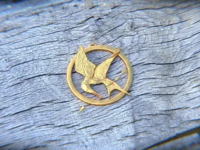 Mockingjay hunger games medallion Low-poly 3D model