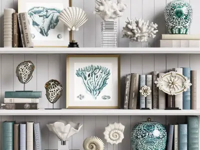 Decor Set 7 shelf with seashells and books 3D model