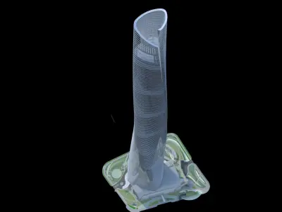 Shanghai Tower China 3D model