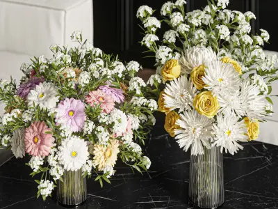 Flower Set 021 Gerbera Chrysanthemum 3D model