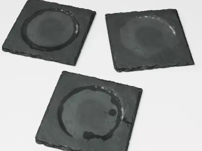 Slate Coasters 2 3D model