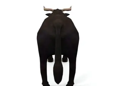 Bull Mammal Low-poly 3D model