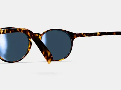 Renton Sunglasses in Black Oak Tortoise 3D model