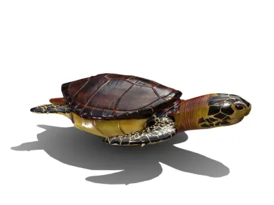Sea Turtle Low-poly 3D model
