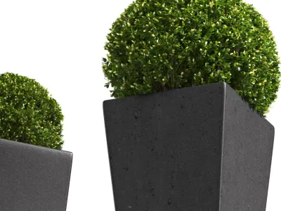 Modern Boxwood in the garden planter ArtDeco 3D model