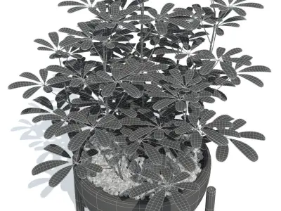 Plants collection 73 Modernica pots 3D model