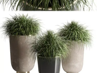 collection Indoor plant 54 vase concrete plant grass pot 3D model