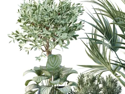 Tree and bush garden box outdoor VOL 18 3D model