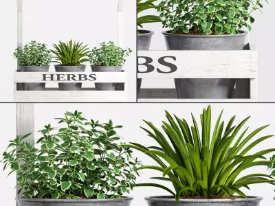 Decorative plant set-14 3D model