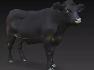 Angus Cow 3d Model Low-poly 3D model