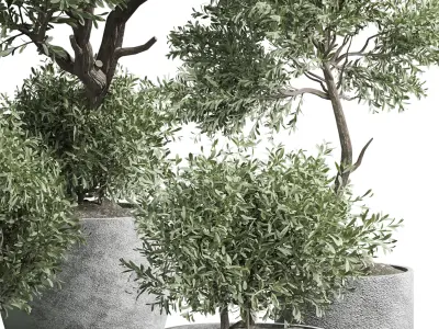 Indoor plant 01 3D model buy