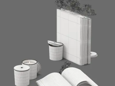 Decor flower Gypsophila books candle Set 46 3D model