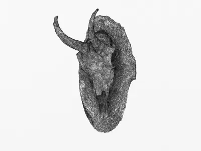 Deer Skull Trophy 2 3D model