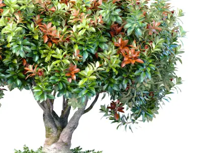 Decorative flowering tree in modern vase urn pot 3D model