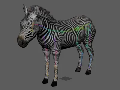 Lowpoly Zebra  Animated for VR AR Games  Low-poly 3D model