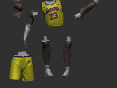 LeBron James 3D Printable 5 3D print model