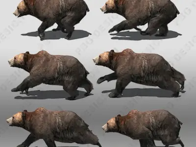 Grizzly Bear Animated Low-poly 3D model