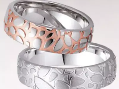 Wedding rings 170 3D print model