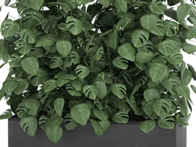Monstera in a pot for the interior 776 3D model