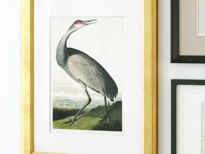 Vintage gallery wall 3D model