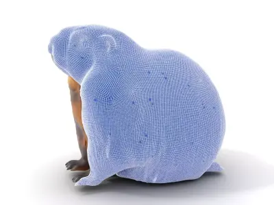 Realistic Gray Marmot model pack Low-poly 3D model