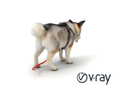 MidnightWhisker Sphynx Cat model pack Low-poly 3D model