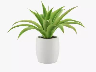 Flower in pot 3D model