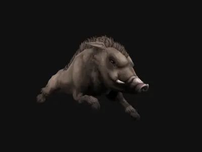 animated boar Low-poly 3D model