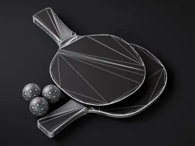 Ping Pong Paddle 3D model
