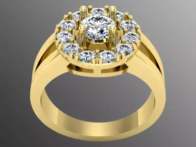 Ring bi50 3D print model