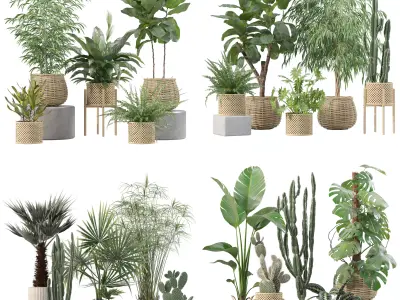 20 Photorealistic Flowers for Interiors - set 211 214 218 219 3D Model Collection