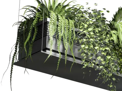 collection Indoor plants hanging pot 10 metal bax vase 3D model
