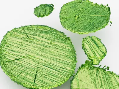  Firewood log tops 3d scan 3D model