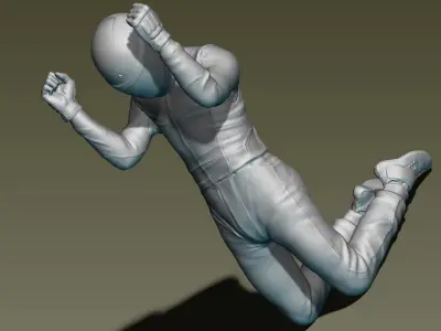 Car Driver Victory 3D print model