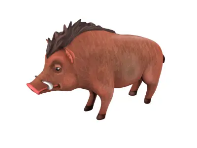 boar   rig  high-poly  textured 3D model