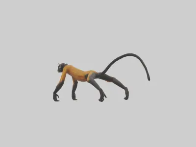 Brocketts Spider Monkey hanging model 3D model