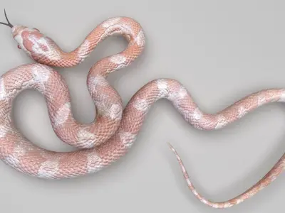 Pink Snake 3D model