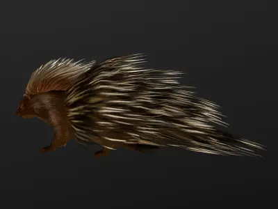 low-poly animated porcupine Low-poly 3D model