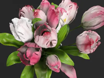 Peonies in vase  3D model