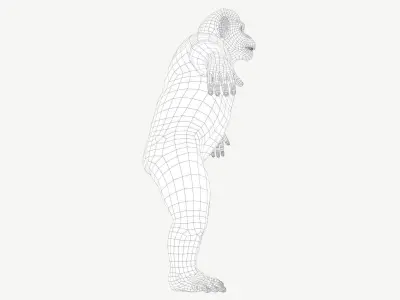 Chimpanzee Low-poly 3D model